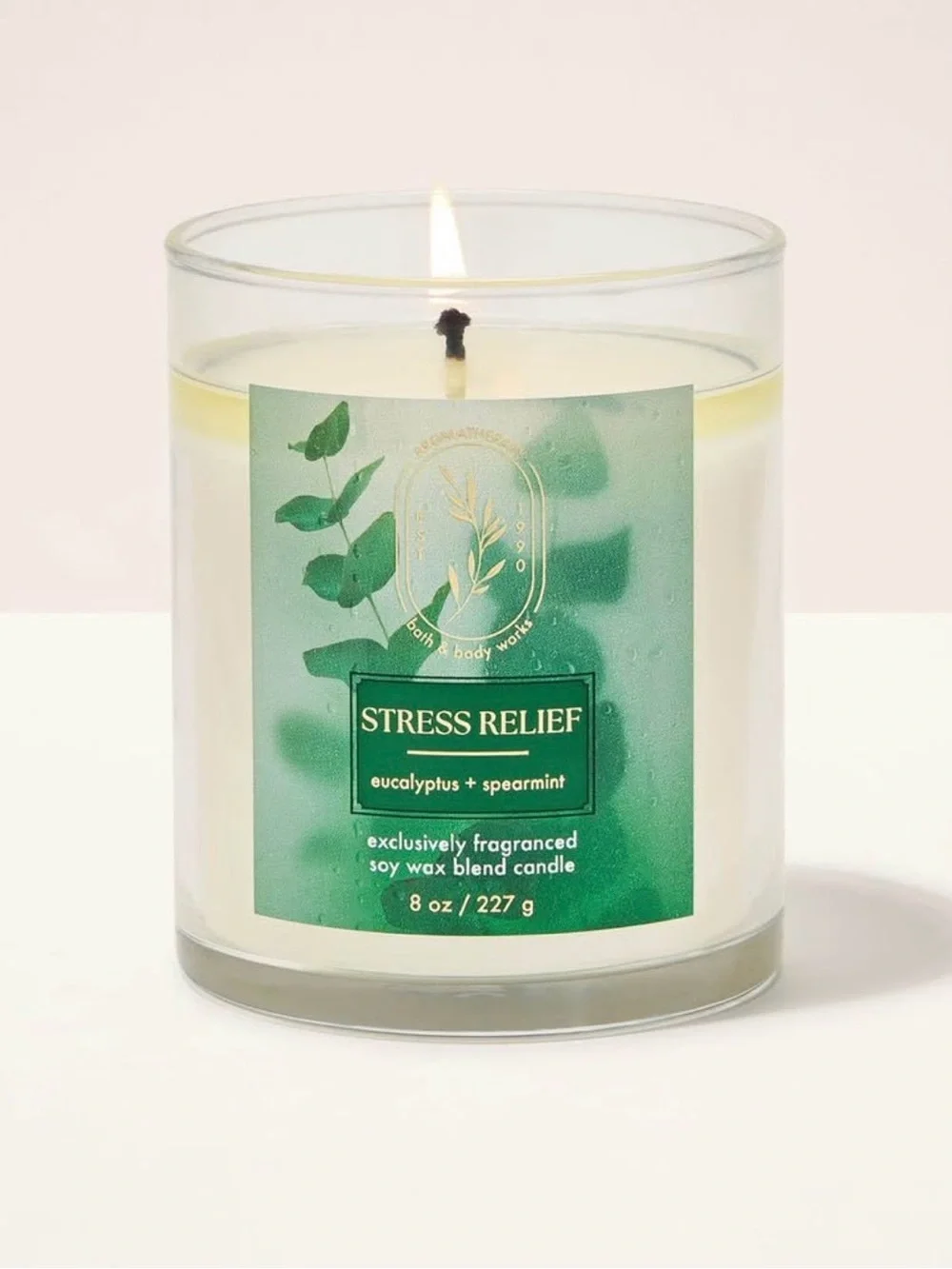 (2) Stress Relief Eucalyptus + Spearmint Scented one wick candle and bodywash